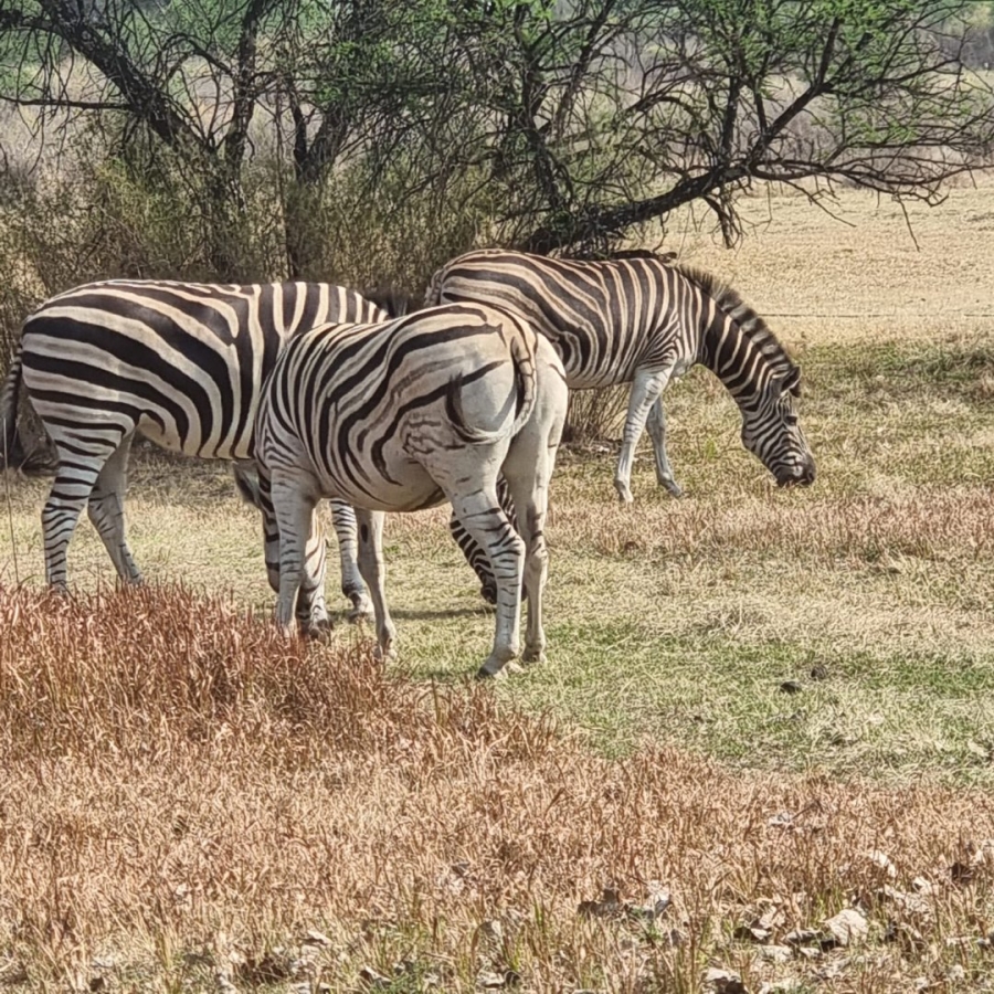 5 Bedroom Property for Sale in River Lodge Estate Free State